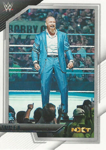 WWE Panini NXT 2022 Trading Cards Triple H No.100