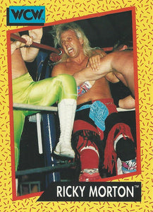 WCW Impel 1991 Trading Cards Ricky Morton No.101