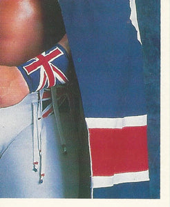 WWF Merlin Stickers 1991 British Bulldog No.111