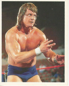 WWF Merlin Stickers 1991 Roddy Piper No.144