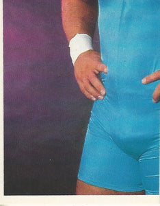 WWF Merlin Stickers 1991 Mr Perfect No.334