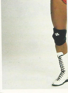 Euroflash WCW 1992 Sticker Collection Brian Pillman No.108
