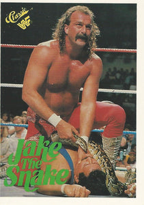 WWF Classic Trading Cards 1990 Jake the Snake Roberts No.108