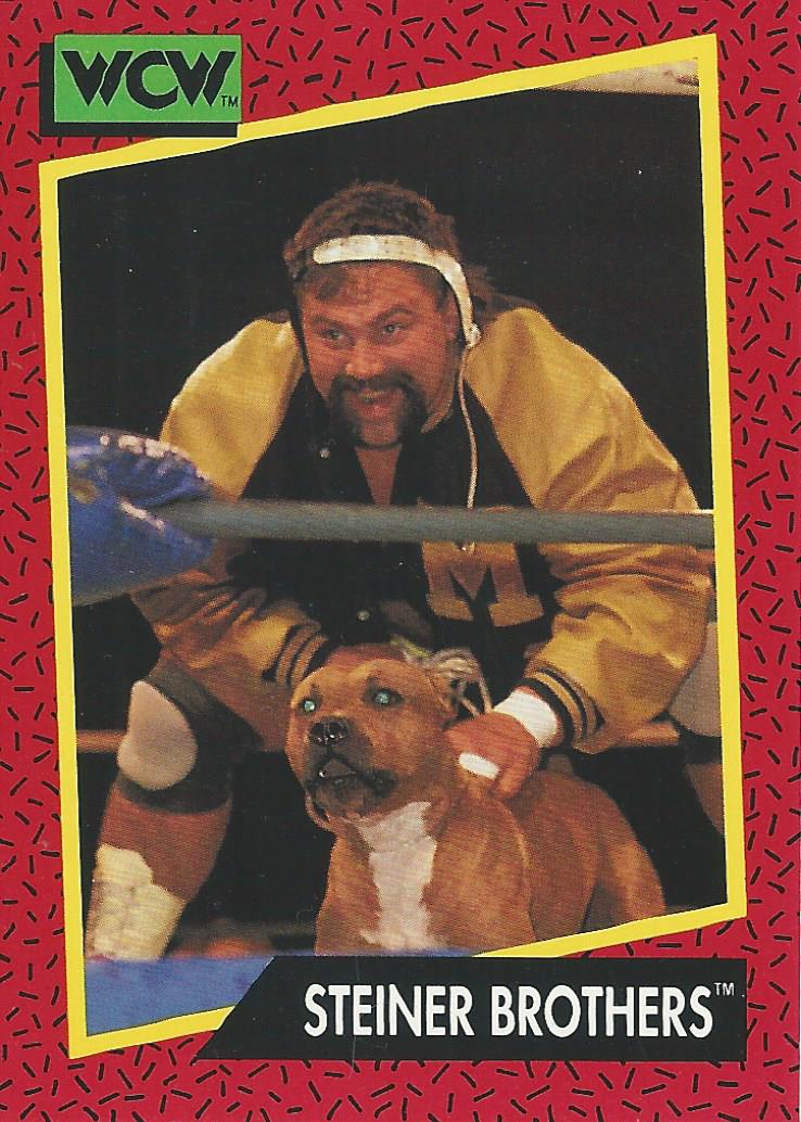 WCW Impel 1991 Trading Cards Rick Steiner No.109
