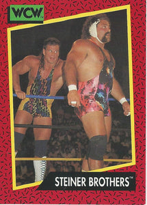 WCW Impel 1991 Trading Cards Steiner Brothers No.111