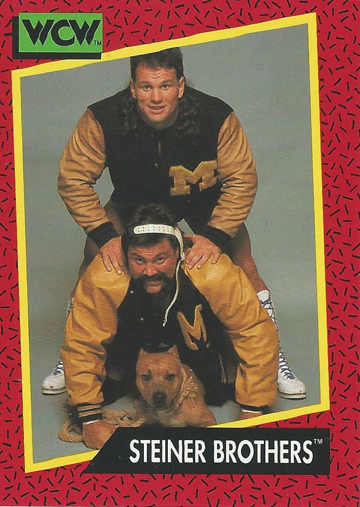 WCW Impel 1991 Trading Cards Steiner Brothers No.114