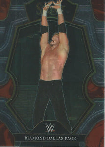 WWE Panini Select 2023 Trading Cards DDP No.198