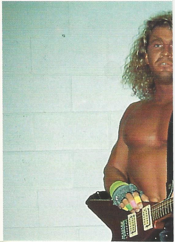 Euroflash WCW 1992 Sticker Collection Van Hammer No.116