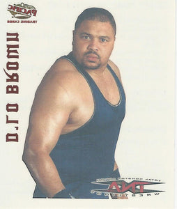TNA Pacific Tattoo Transfer D-Lo Brown No.11