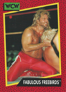 WCW Impel 1991 Trading Cards Michael PS Hayes No.120