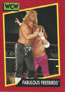 WCW Impel 1991 Trading Cards Michael PS Hayes No.123