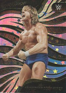 WWE Panini Revolution 2023 Trading Cards Roddy Piper ASTRO No.108