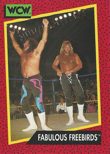 WCW Impel 1991 Trading Cards Michael Hayes and Jimmy Garvin No.127