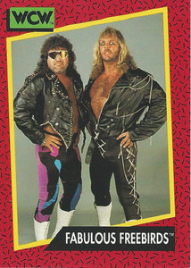 WCW Impel 1991 Trading Cards Michael Hayes Jimmy Garvin No.128