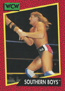 WCW Impel 1991 Trading Cards Steve Armstrong No.129