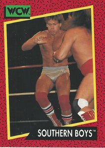 WCW Impel 1991 Trading Cards Tracy Smothers No.130