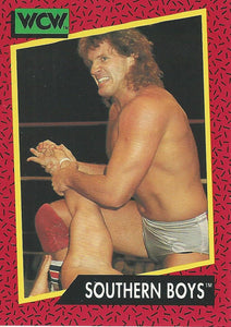 WCW Impel 1991 Trading Cards Tracy Smothers No.131