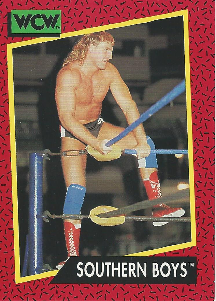WCW Impel 1991 Trading Cards Steve Armstrong No.132