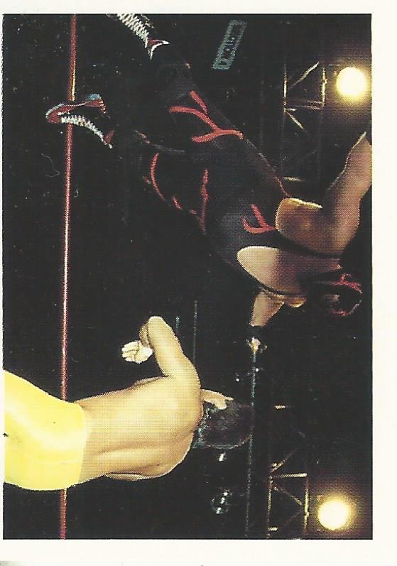 Euroflash WCW 1992 Sticker Collection Vader No.132