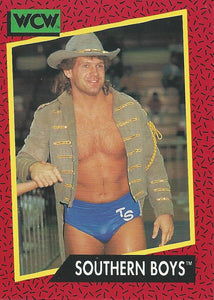 WCW Impel 1991 Trading Cards Tracy Smothers No.133