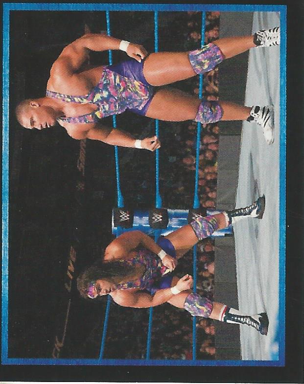 WWE Topps Stickers 2017 Chad Gable and Jason Jordan No.13