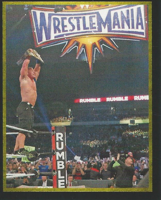 WWE Topps Stickers 2017 John Cena No.198