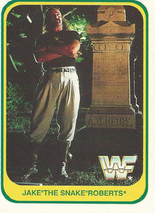 WWF Merlin 1991 Trading Cards Jake the Snake Roberts No.143