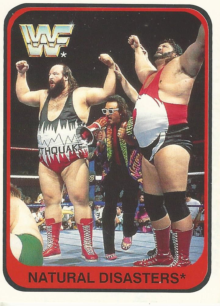 WWF Merlin 1991 Trading Cards Natural Disasters No.146