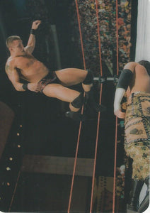WWE Edibas Lamincards 2008 Trading Cards Randy Orton No.149