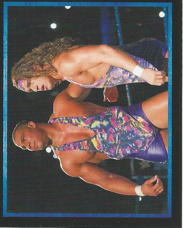 WWE Topps Stickers 2017 Chad Gable and Jason Jordan No.15