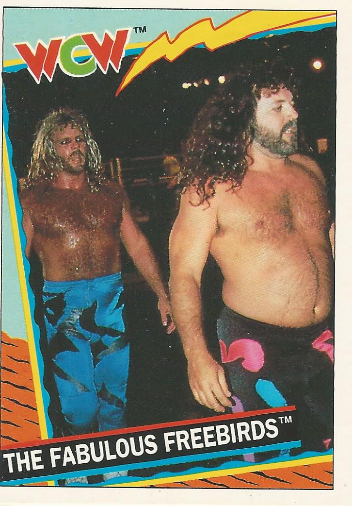 WCW Topps 1992 Trading Cards Michael Hayes and Jimmy Garvin No.15