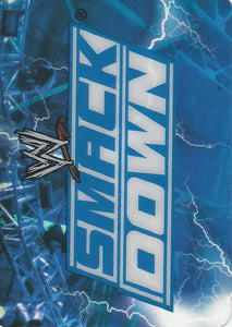 WWE Edibas Lamincards 2008 Trading Cards Smackdown Logo No.160