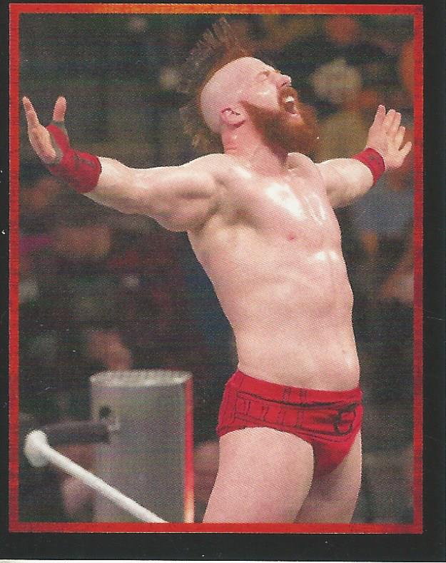 WWE Topps Stickers 2017 Sheamus No.162