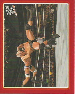 WWE Topps Icons 2013 Sticker Collection Randy Orton No.163