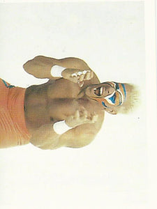 Euroflash WCW 1992 Sticker Collection Sting No.16