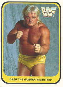 WWF Merlin 1991 Trading Cards Greg Valentine No.16