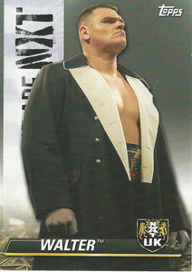 WWE Topps NXT 2021 Trading Cards Walter NXT-60