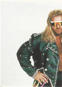 Euroflash WCW 1992 Sticker Collection Michael Hayes No.175