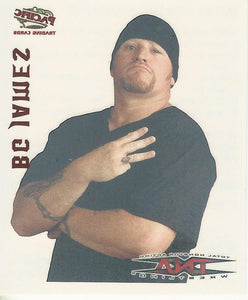 TNA Pacific Tattoo Transfer BG James Road Dogg No.17