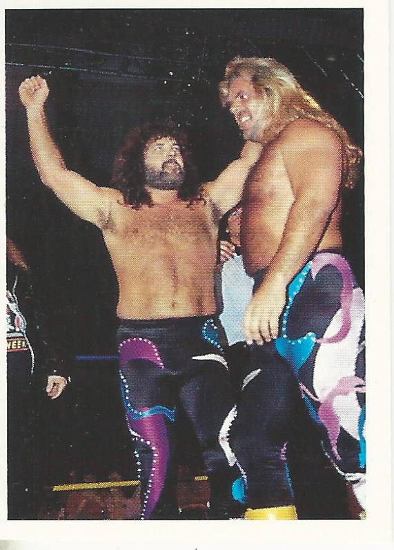 Euroflash WCW 1992 Sticker Collection Jimmy Garvin and Michael Hayes No.180