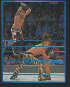 WWE Topps Stickers 2017 Heath Slater No.238