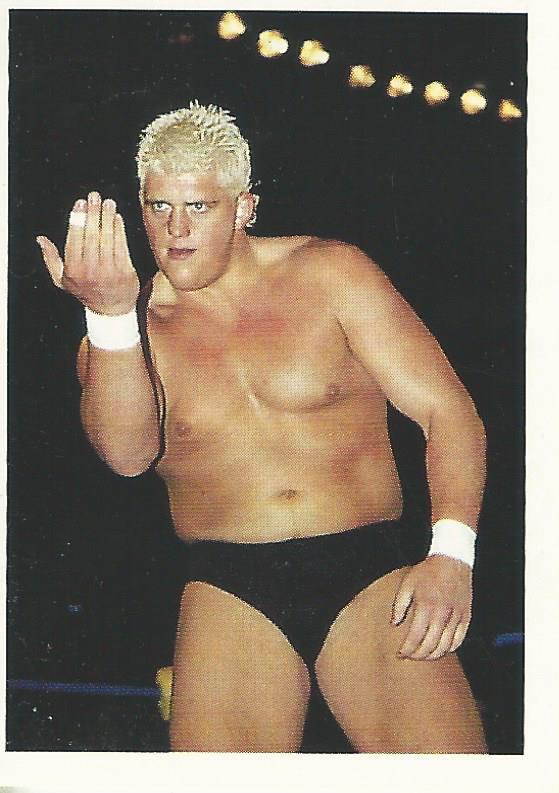 Euroflash WCW 1992 Sticker Collection Dustin Rhodes No.183