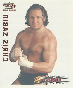TNA Pacific Tattoo Transfer Chris Sabin No.18