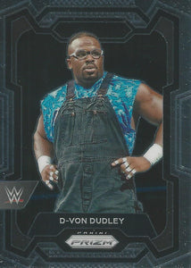 WWE Panini Prizm 2024 Trading Cards D-Von Dudley No.192