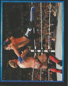 WWE Topps Stickers 2017 AJ Styles No.19