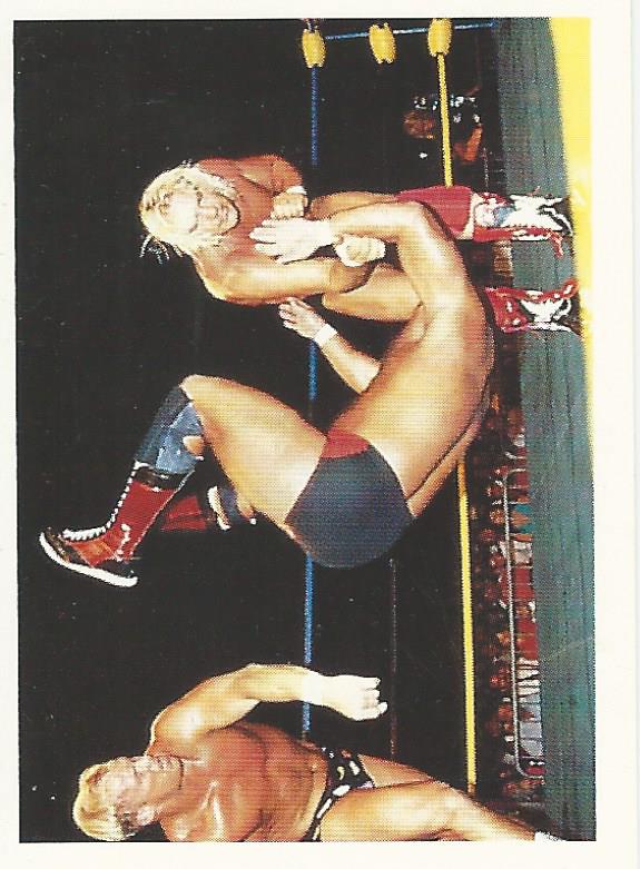 Euroflash WCW 1992 Sticker Collection Steve Austin No.203
