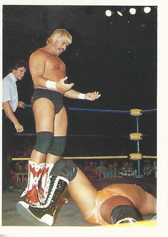 Euroflash WCW 1992 Sticker Collection Barry Windham No.211