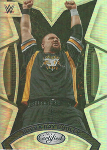 WWE Panini Chronicles 2023 Trading Cards Bubba Ray Dudley No.213