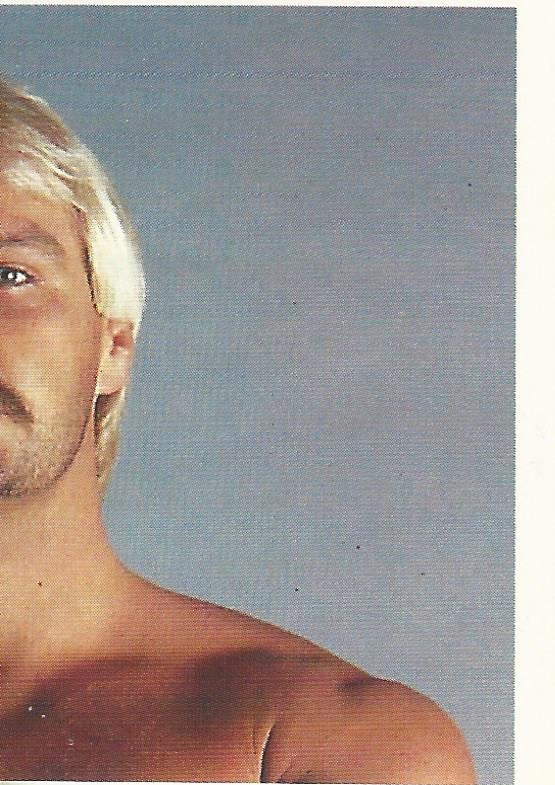 Euroflash WCW 1992 Sticker Collection Barry Windham No.213