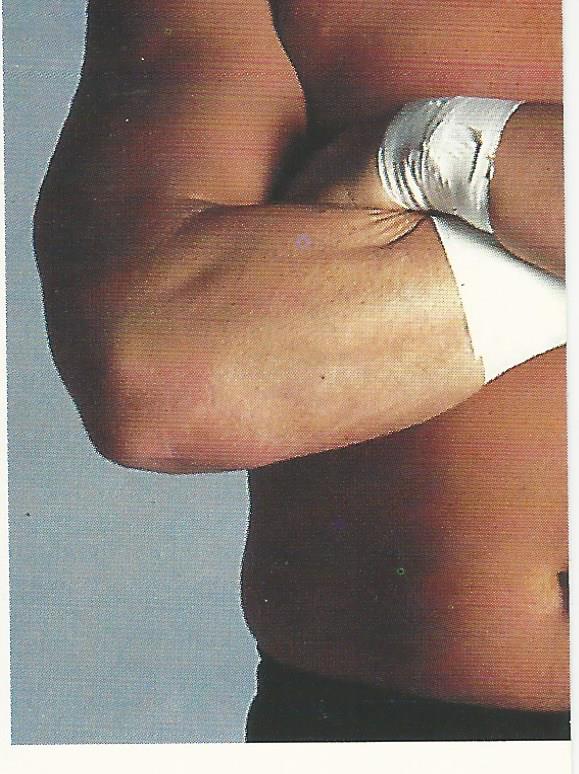 Euroflash WCW 1992 Sticker Collection Barry Windham No.214